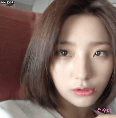 프로미스나인 이새롬 V앱 뉴욕KCON 비하인드.GIF | 인스티즈