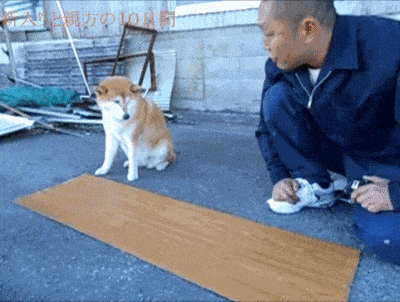 견성수준...gif | 인스티즈