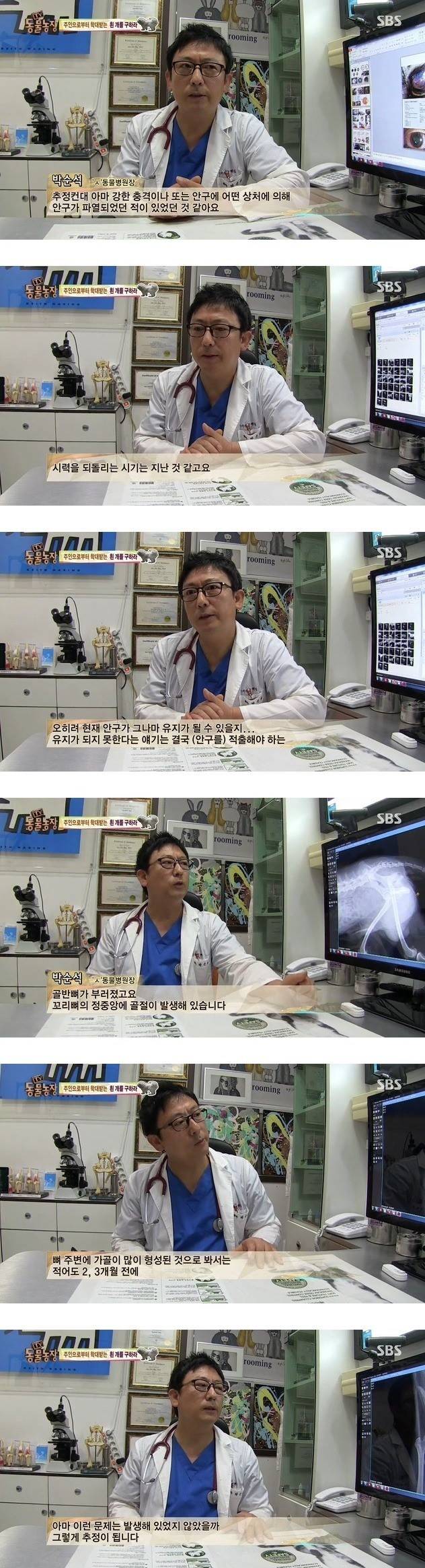 이유없는 강아지 학대 | 인스티즈