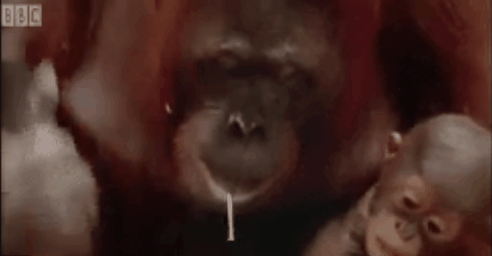 교수님 앞에서 실습하는 내 모습 | 인스티즈