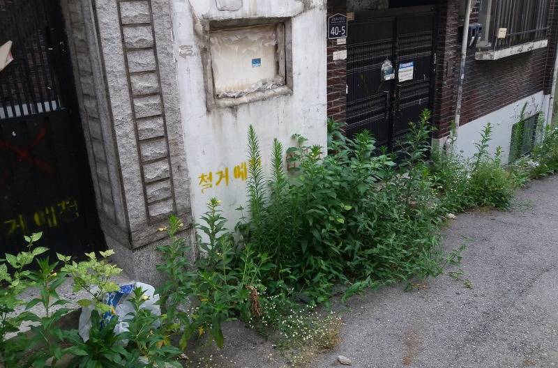 사람이 사라진 마을의 모습.jpg | 인스티즈