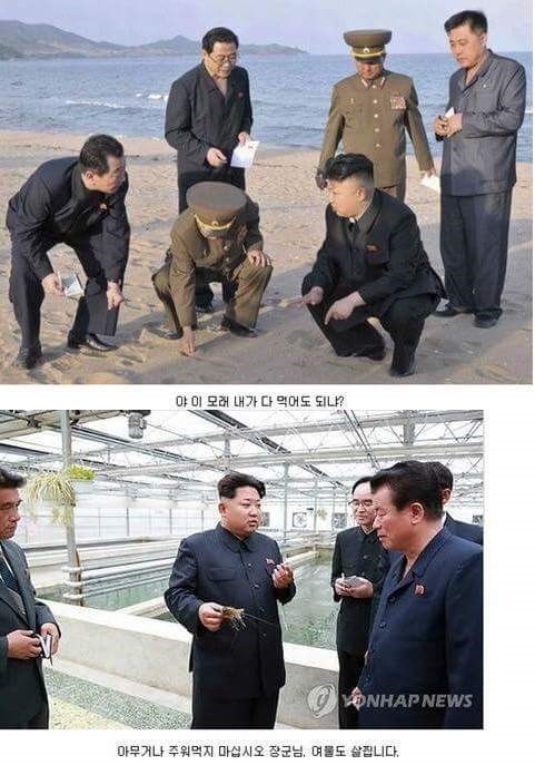 다이어트 하는 김정은 | 인스티즈