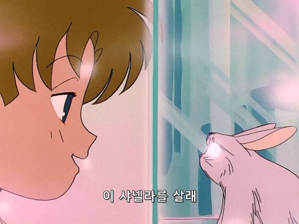 미소녀 전사 세일러문 (美少女戦士セーラームーン) 05 | 인스티즈