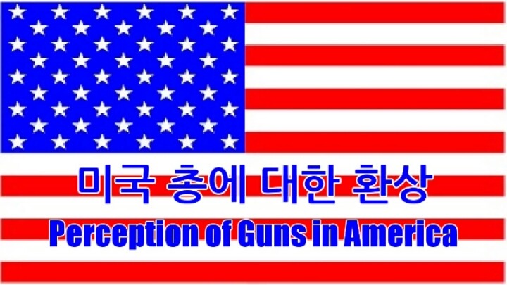 한국학생들이 본 미국:환상과 현실 | 인스티즈