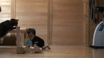 이렇게 하는 거야.gif | 인스티즈