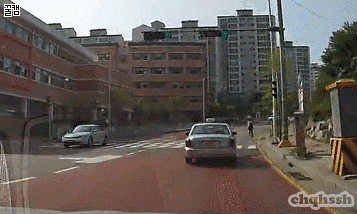 민폐 자전거 라이더가 자라니라 불리는 이유.. | 인스티즈