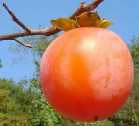 대박 감동글.jpg | 인스티즈