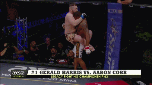 매미권을 함부로 따라하면 안되는 이유 | 인스티즈