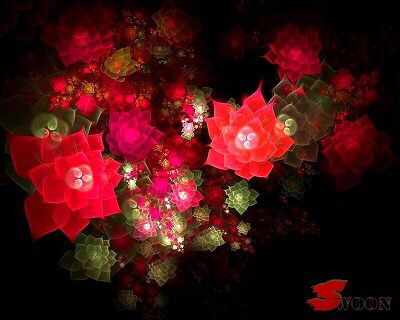 선인장 꽃 | 인스티즈