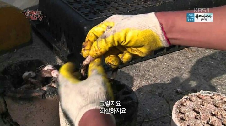 한국인의밥상 꼼장어 | 인스티즈