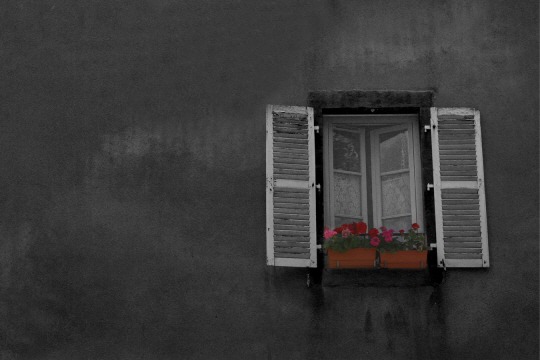  자라지 않는 나무 | 인스티즈