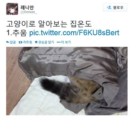 고양이로 알아보는 집온도 | 인스티즈