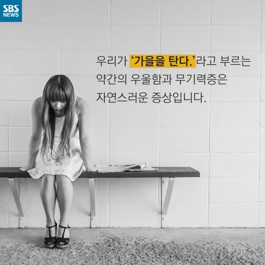 사람이 가을타는 이유 | 인스티즈