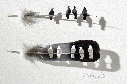 새들의 기털을 이용한 작품 | 인스티즈