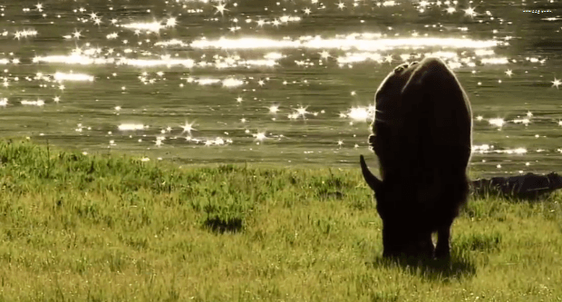 봄이 오면 볼 수 있는 모습 | 인스티즈
