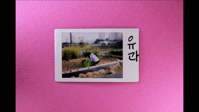 박막례 할머니에게 일주일동안 즉석 카메라를 맡겼을 때 | 인스티즈