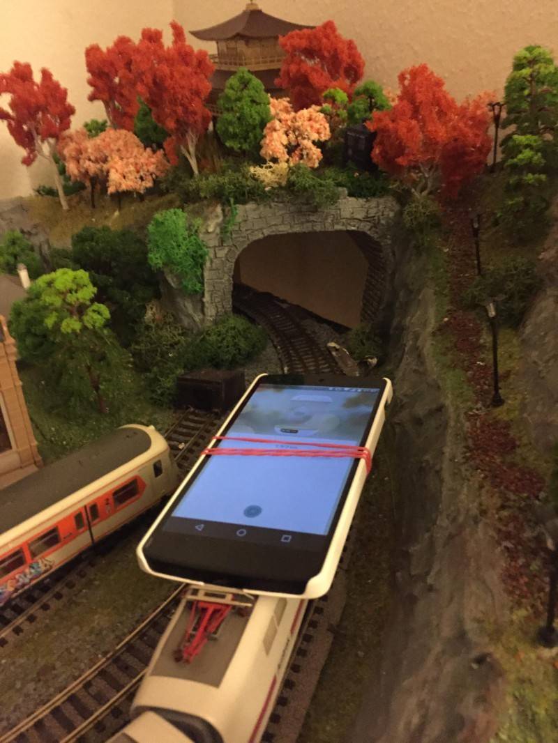 외국의 흔한 포켓몬 대리모 | 인스티즈