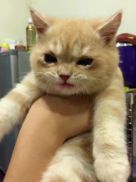 ??? : 제가 그런거 아니란 말이에요ㅜㅜ | 인스티즈