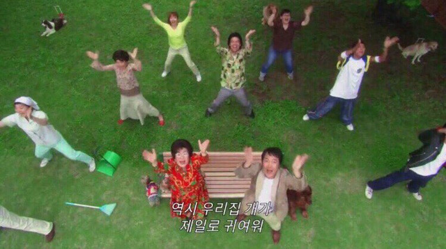 개 키우는 집 특징.teukjing | 인스티즈