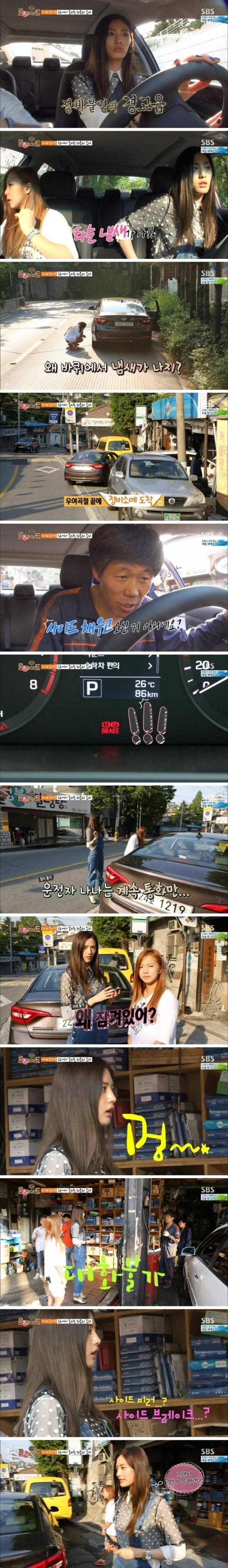 운전면허를 쉽게 내주면 안되는 이유 | 인스티즈