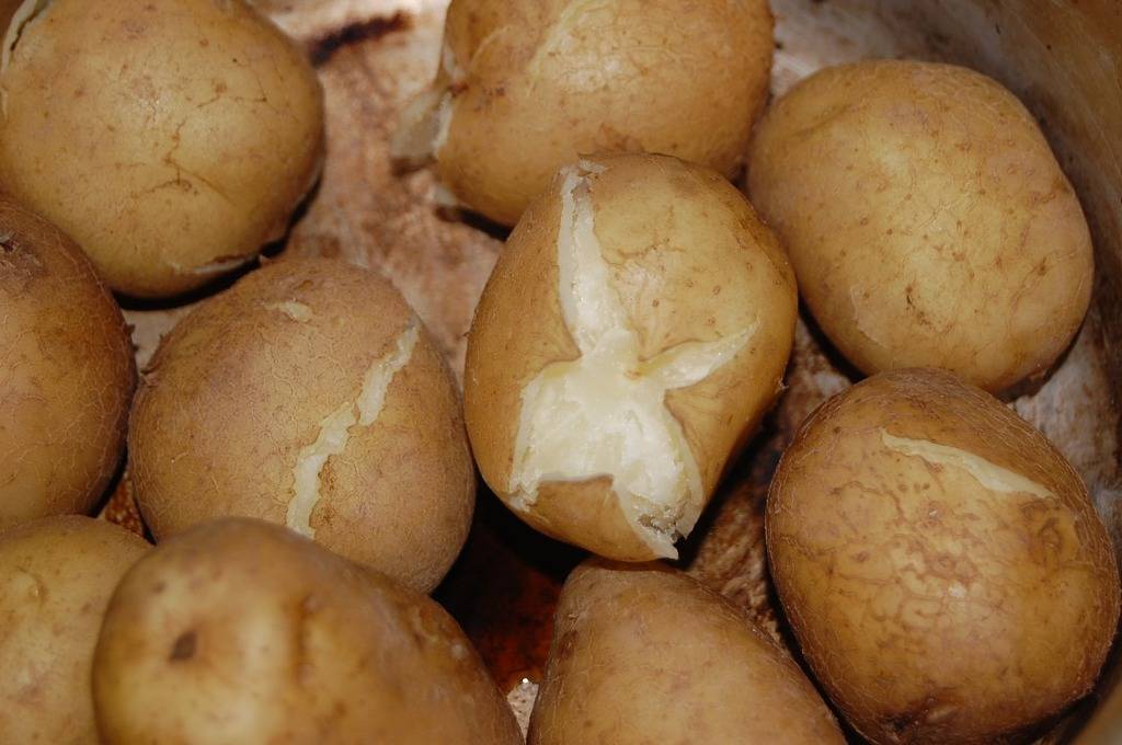 찐감자 vs 찐고구마 | 인스티즈