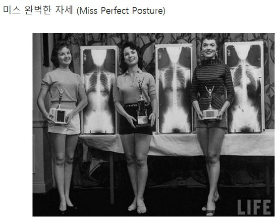 여성 부위별 미인대회 | 인스티즈