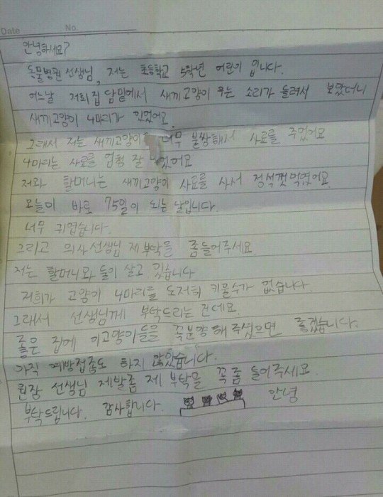 병원 앞에서 냥줍 | 인스티즈