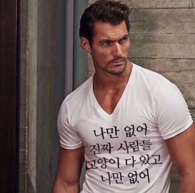 고양이 키우는 집사들 특징.jpg | 인스티즈