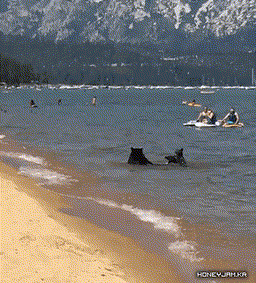 흔한 러시아 해수욕장 | 인스티즈