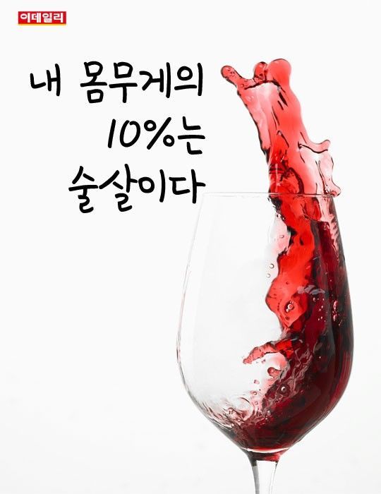 내 몸무게의 10%는 술살이다 | 인스티즈