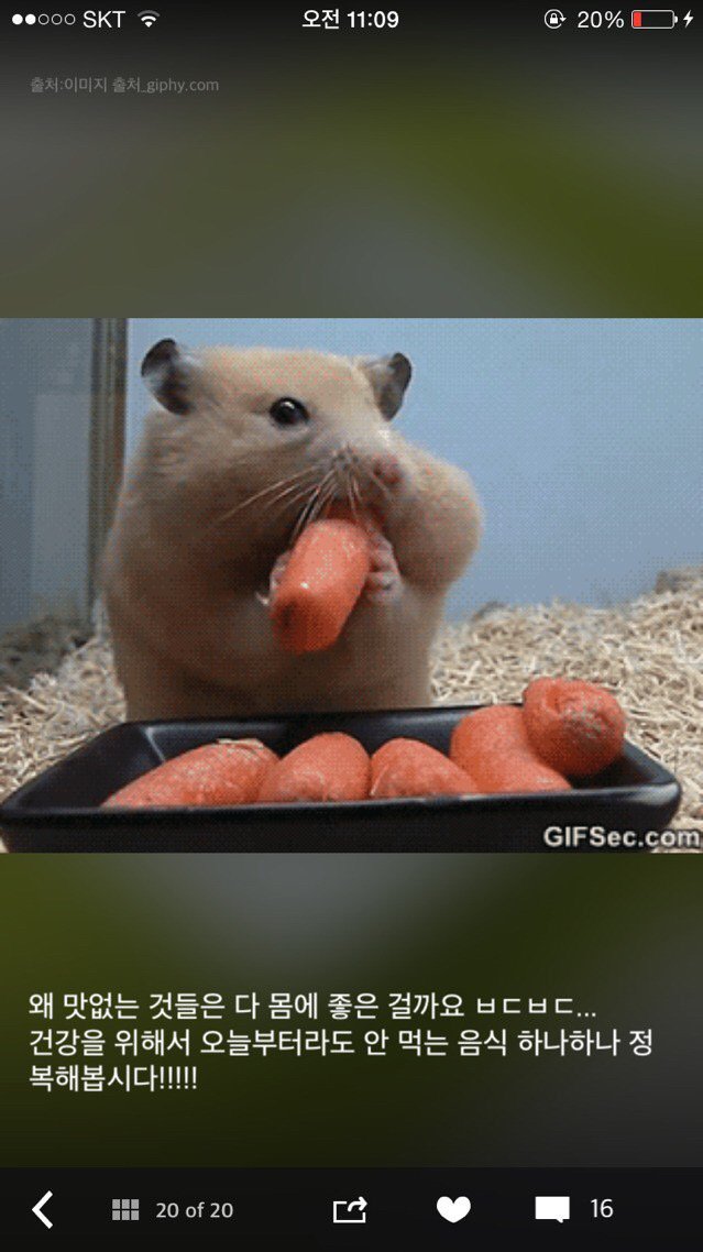 가장 많이 편식하는 음식 TOP 15 | 인스티즈