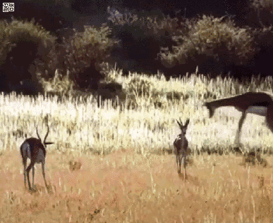 오버로드. gif | 인스티즈