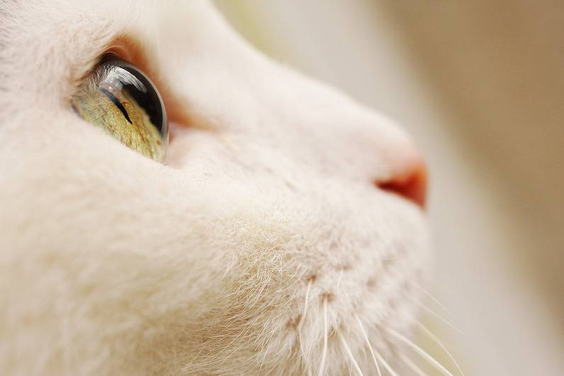 투명한 유리구슬처럼 보이지만~ | 인스티즈