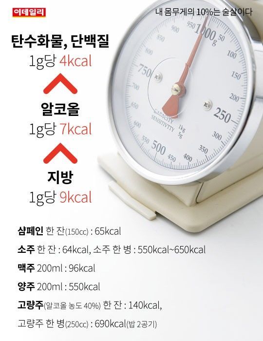 내 몸무게의 10%는 술살이다 | 인스티즈