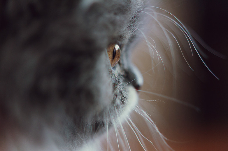 투명한 유리구슬처럼 보이지만~ | 인스티즈