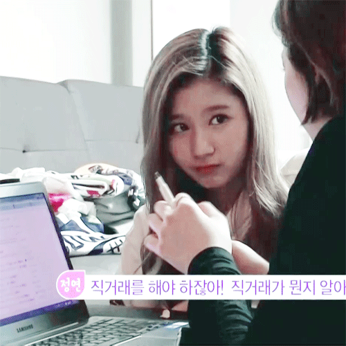 트와이스 애완 멤버.gif | 인스티즈