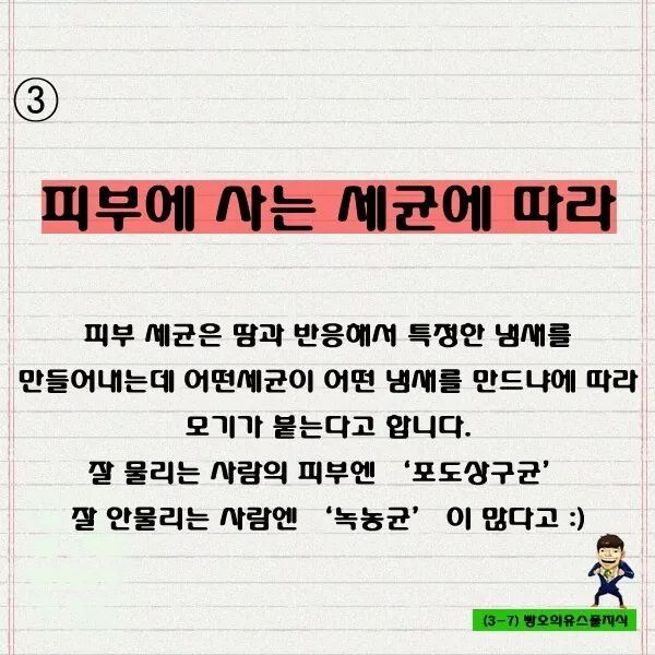 모기 잘물리는 사람들의 특징 | 인스티즈