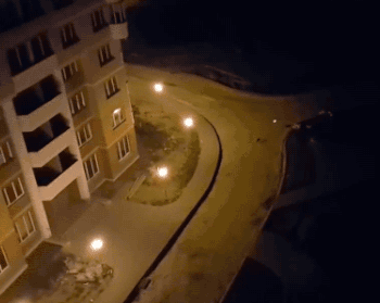 레이저 포인트 로 고양이 놀리기 | 인스티즈