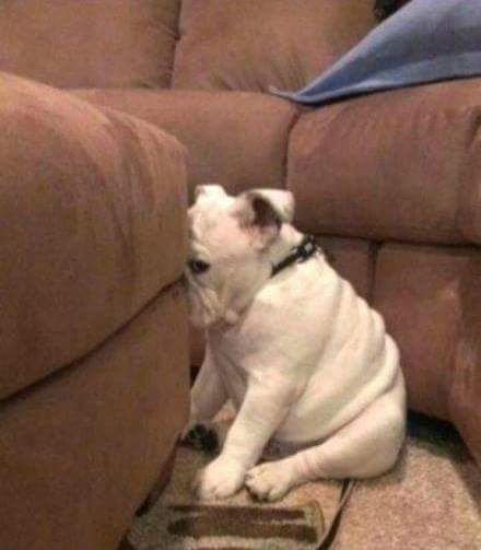 지들도 잘못한 건 알아갖고 ㅋㅋ | 인스티즈