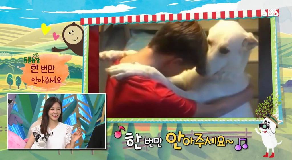 왜 반려견이 가족인가? | 인스티즈