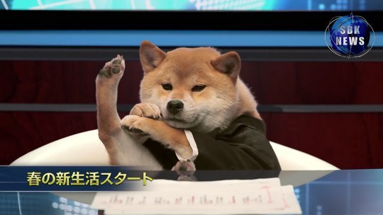 뉴스가 하기 싫은 시바 앵커.jpg | 인스티즈