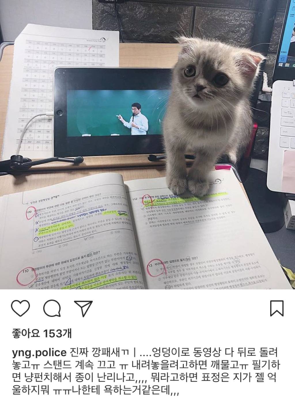 공시생 공부 방해하는 고양이.jpg | 인스티즈