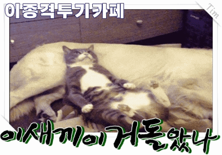 일본의 블루오션 | 인스티즈