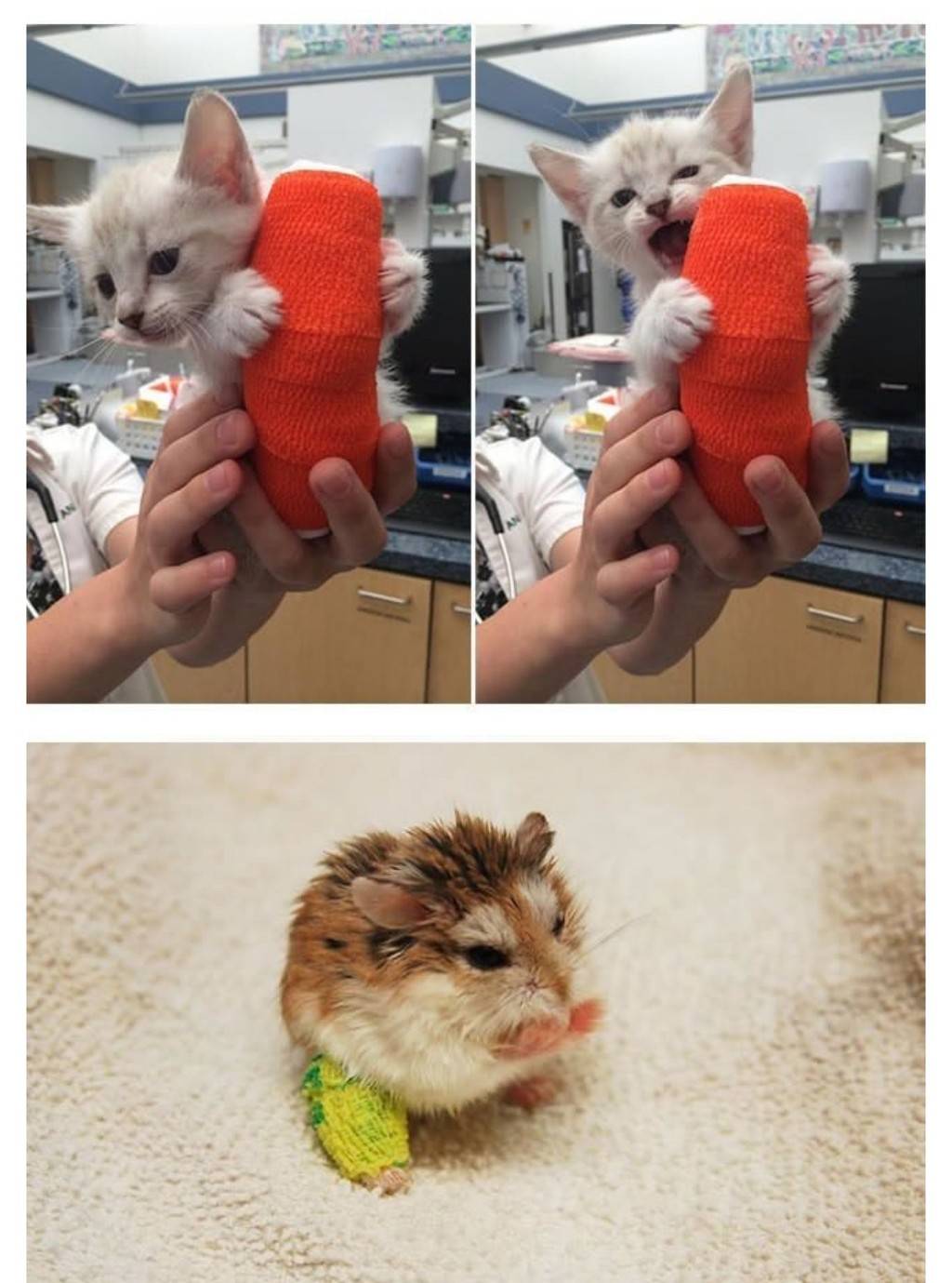 나 아야했쪄 | 인스티즈