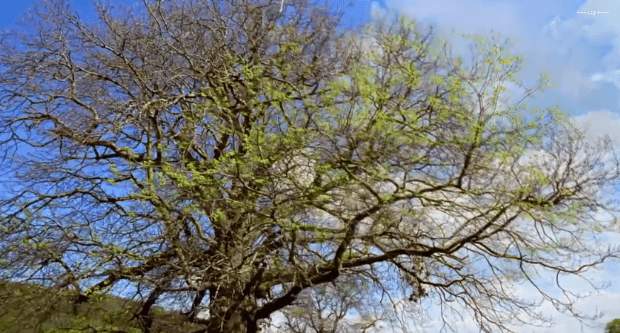 봄이 오면 볼 수 있는 모습 | 인스티즈