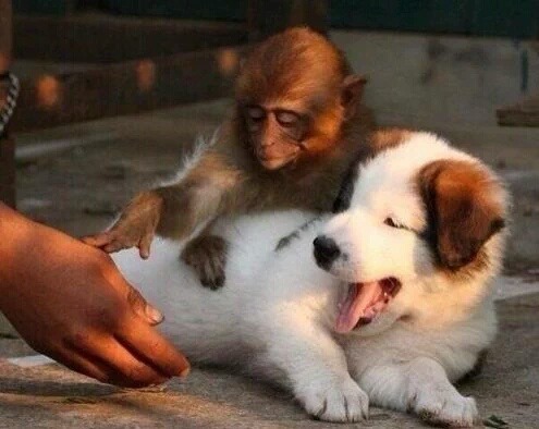 마코토는 취직같은 거 하지 말고 평생 사진 찍는 게 어때? | 인스티즈