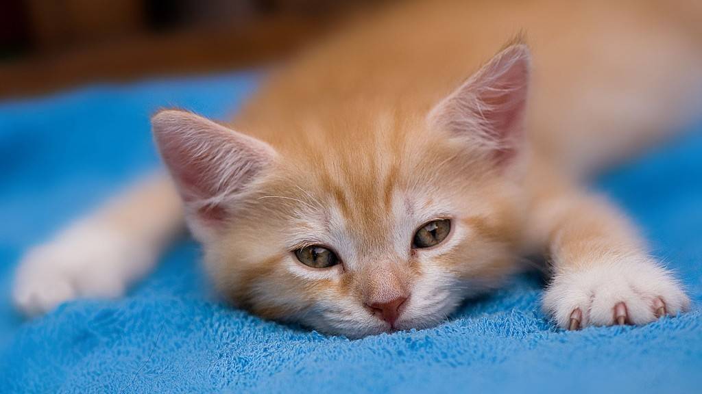 이제 자자.jpg | 인스티즈