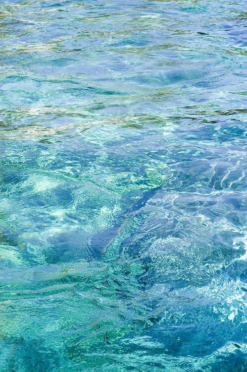 가장 좋아하는 계절은? | 인스티즈