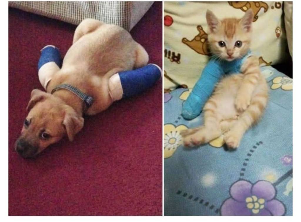 나 아야했쪄 | 인스티즈