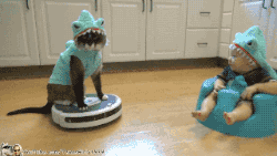 냥이와아기(심장조심).gif | 인스티즈